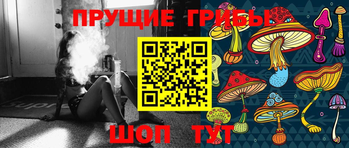 Псилоцибиновые грибы прущие грибы  Вход с VPN  купить  сайты  Галлюциногенные грибы мицелий  Алексин 